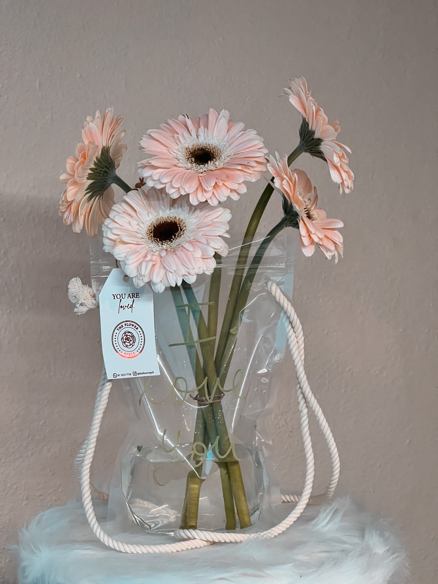 Gerberas en bolsita