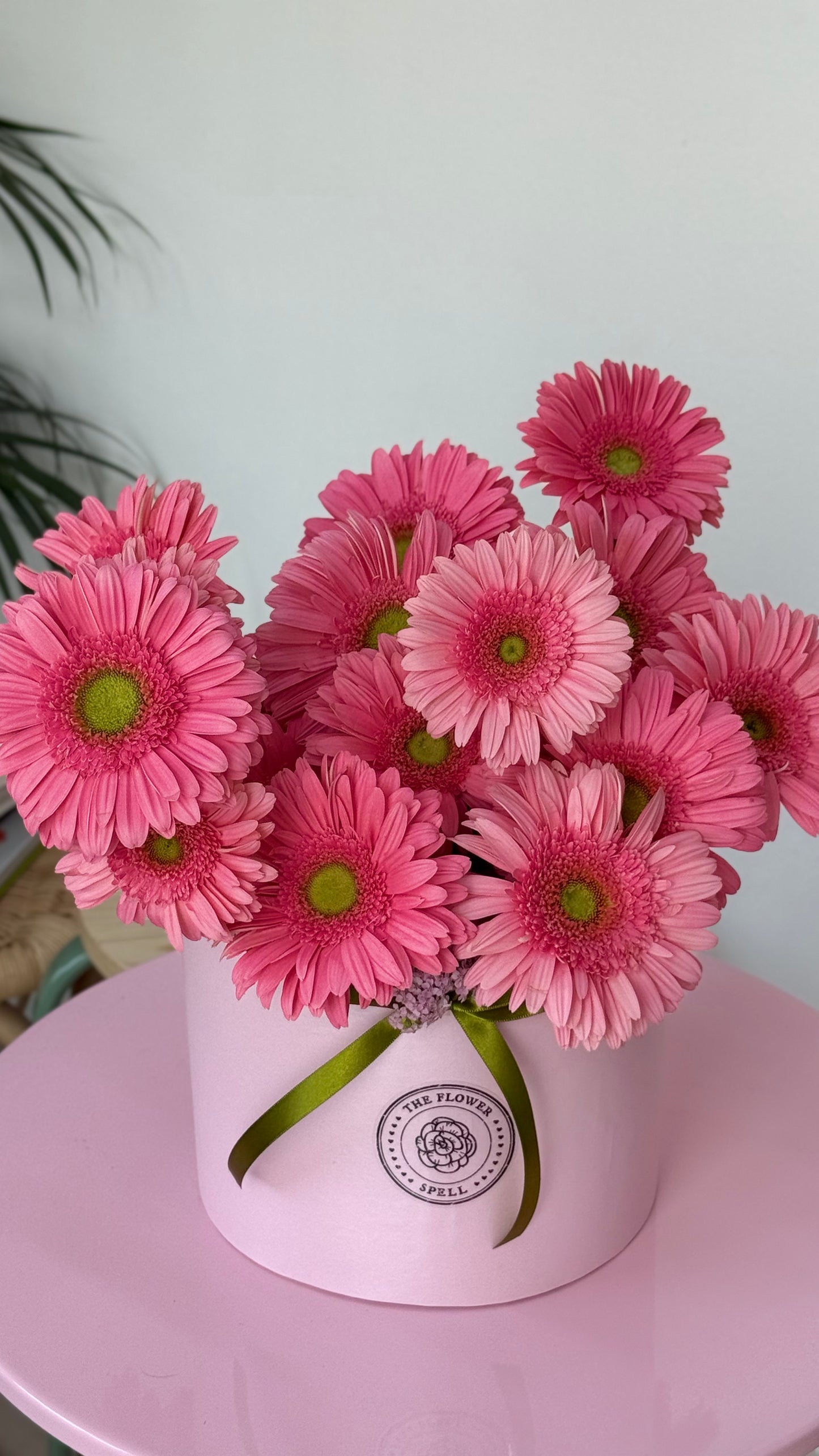 20 Gerberas en caja