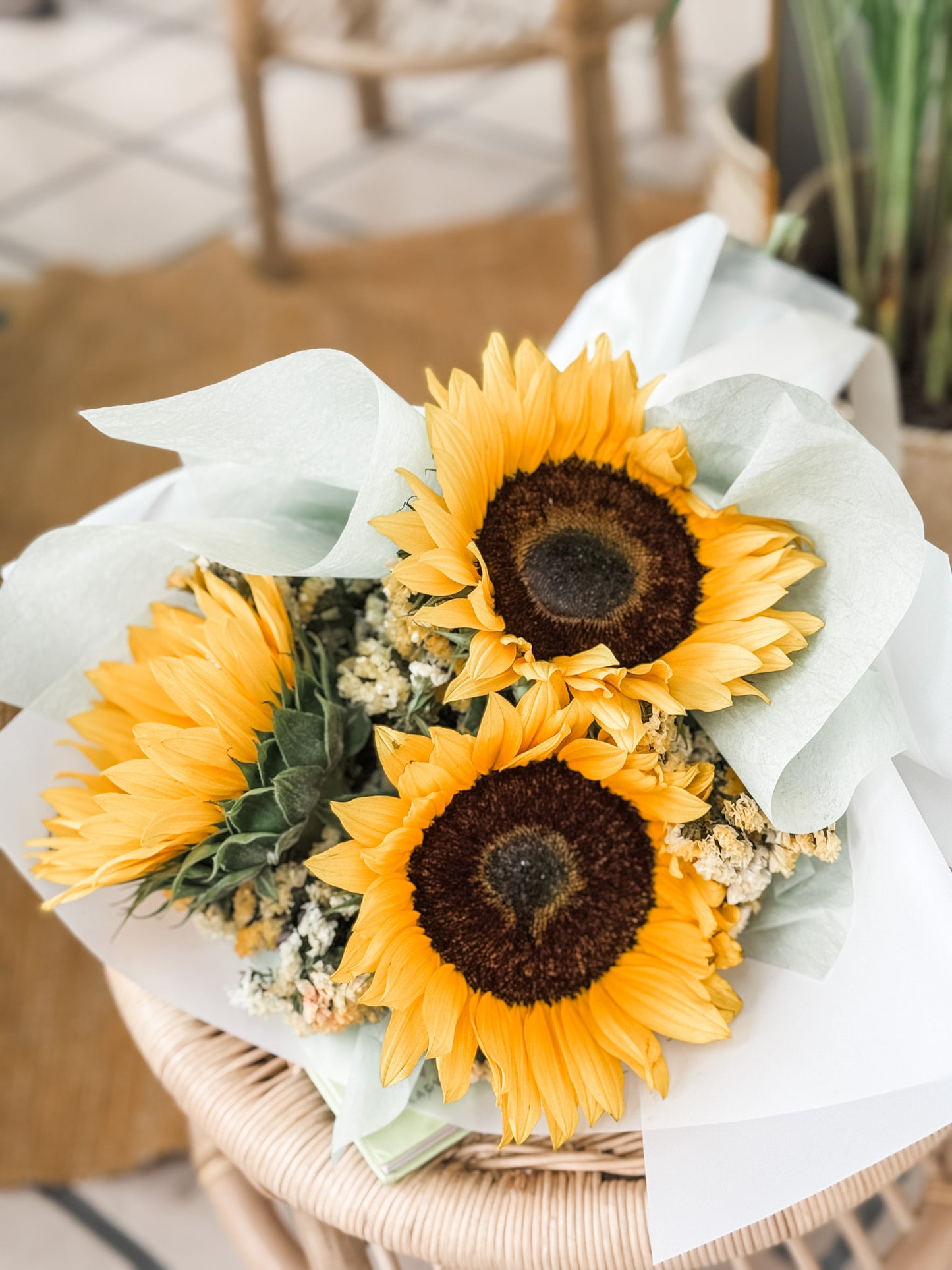 Girasoles y statice