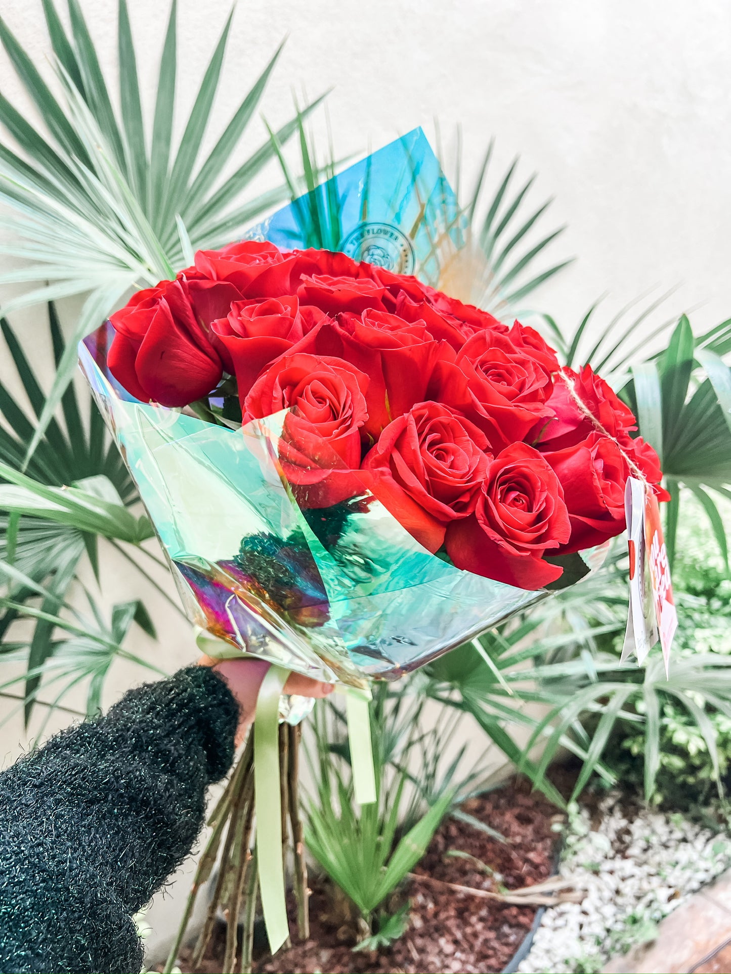24 rosas rojas