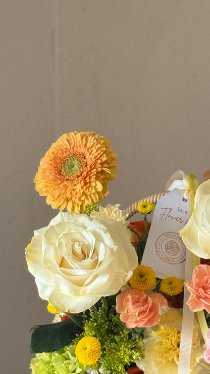 Jardín de Septiembre Canasta - Envío Gratis