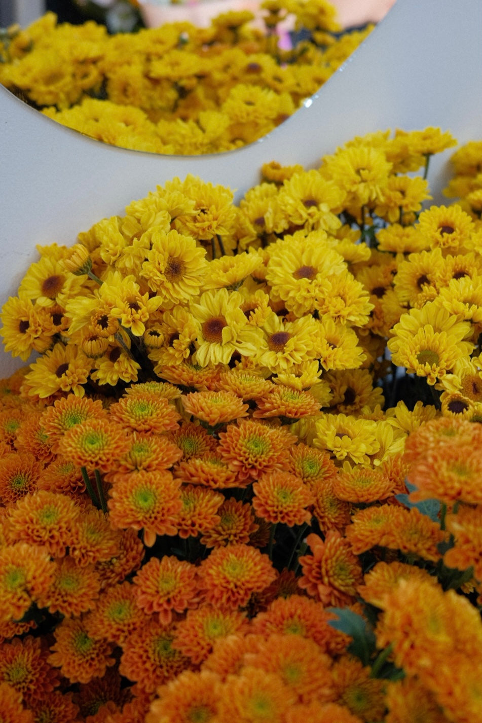 Bouquet Amarillo de temporada 🍋🌼