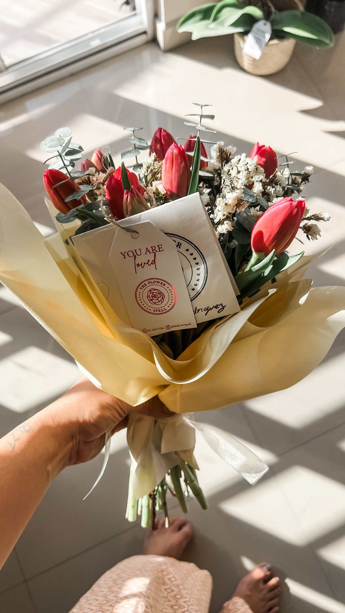 10 Tulipanes y statice