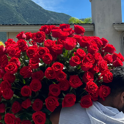 300 Rosas premium en canasta